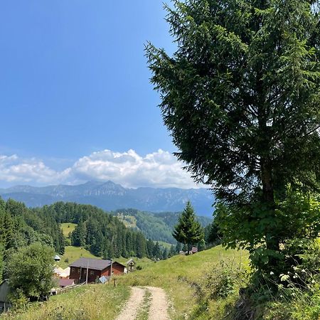 Andolia Villa Moeciu De Sus Eksteriør billede
