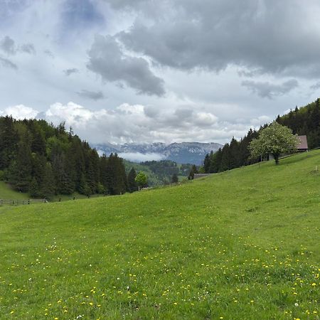 Andolia Villa Moeciu De Sus Eksteriør billede