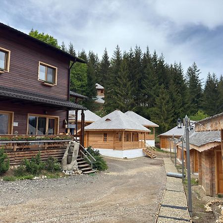 Andolia Villa Moeciu De Sus Eksteriør billede