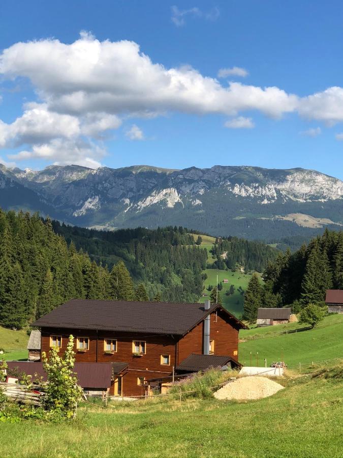 Andolia Villa Moeciu De Sus Eksteriør billede