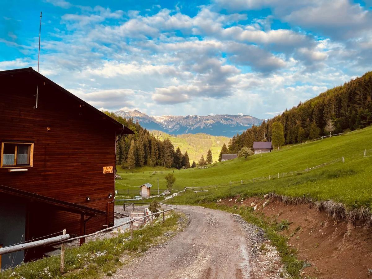 Andolia Villa Moeciu De Sus Eksteriør billede