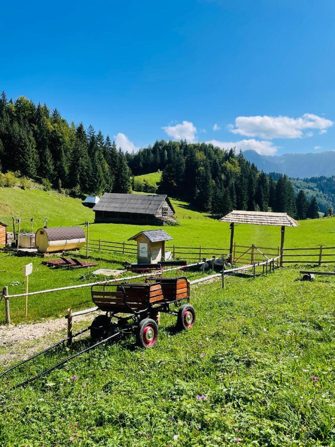 Andolia Villa Moeciu De Sus Eksteriør billede