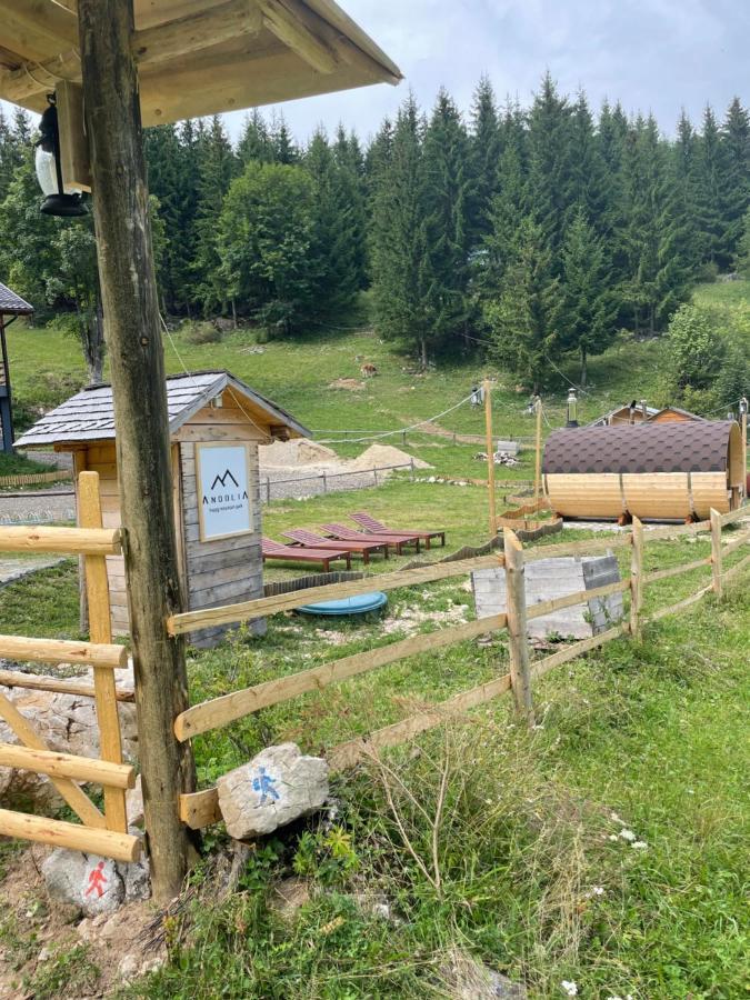 Andolia Villa Moeciu De Sus Eksteriør billede