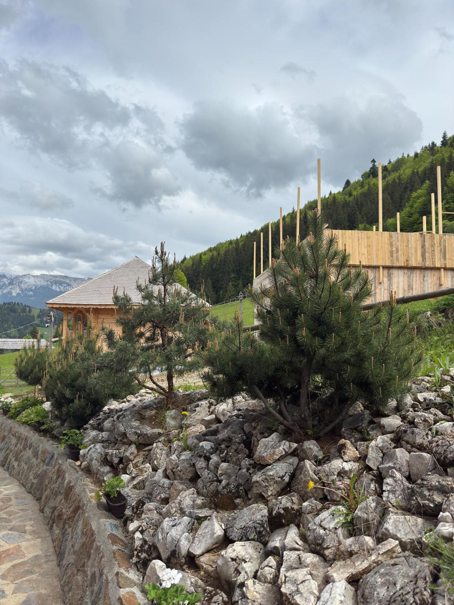 Andolia Villa Moeciu De Sus Eksteriør billede